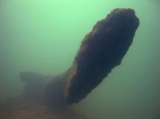 groot/sany0004.jpg