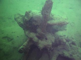 groot/sany0006.jpg