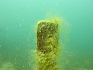 groot/sany0040.jpg