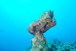 groot/dsc_0015.jpg