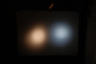 groot/011-1.5m-1m.jpg
