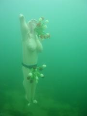 groot/sany0053.jpg
