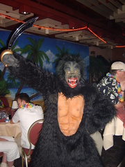 groot/sany0192.jpg