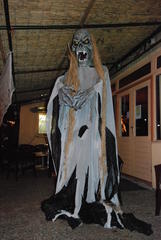 groot/dsc_0026.jpg