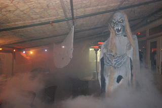 groot/dsc_0074.jpg