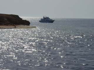 groot/sany0102.jpg