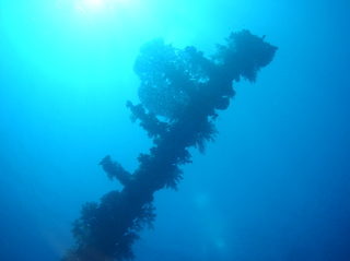 groot/sany0158.jpg