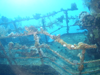 groot/sany0163.jpg