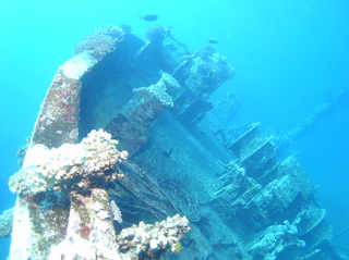 groot/sany0175.jpg