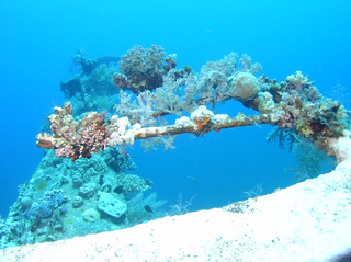 groot/sany0184.jpg