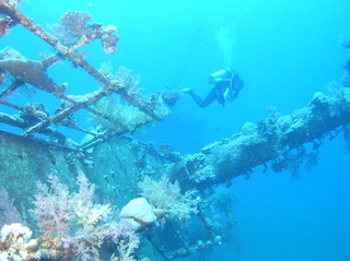 groot/sany0197.jpg