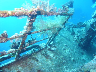groot/sany0198.jpg