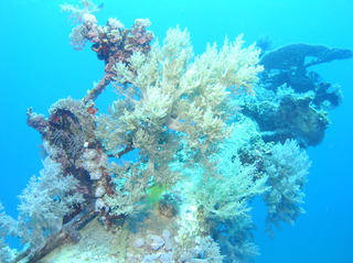 groot/sany0199.jpg