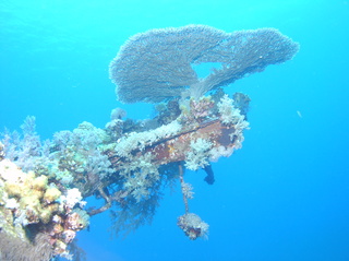 groot/sany0200.jpg