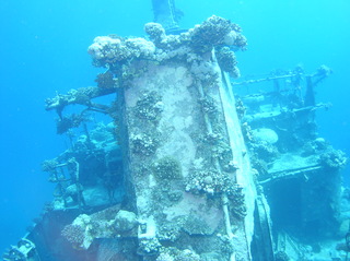 groot/sany0203.jpg