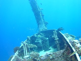 groot/sany0204.jpg