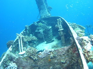 groot/sany0205.jpg