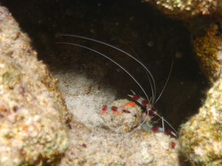 groot/sany0230.jpg
