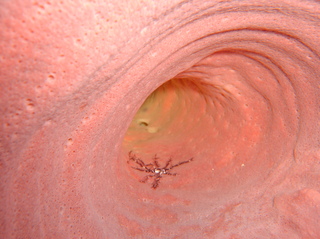 groot/sany0244.jpg