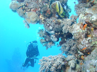 groot/sany0256.jpg