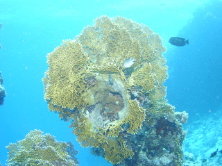 groot/sany0258.jpg