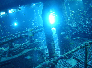 groot/sany0306.jpg