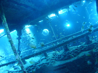 groot/sany0307.jpg