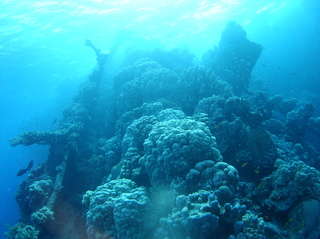 groot/sany0313.jpg