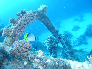 groot/sany0321.jpg