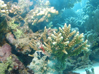 groot/sany0339.jpg