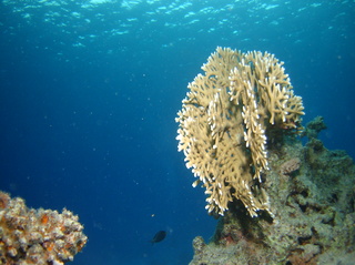 groot/sany0373.jpg