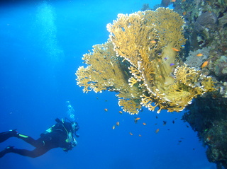 groot/sany0419.jpg