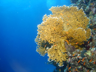 groot/sany0422.jpg