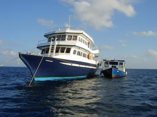 groot/sany0089.jpg