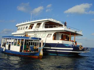 groot/sany0095.jpg