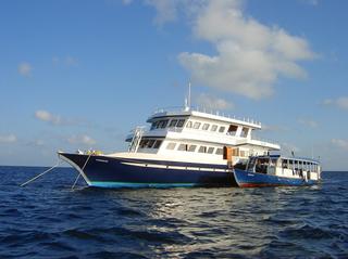 groot/sany0096.jpg