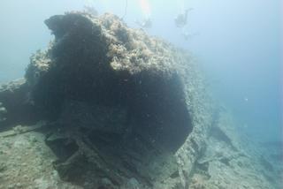 groot/08690.jpg