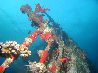 groot/sany0559.jpg